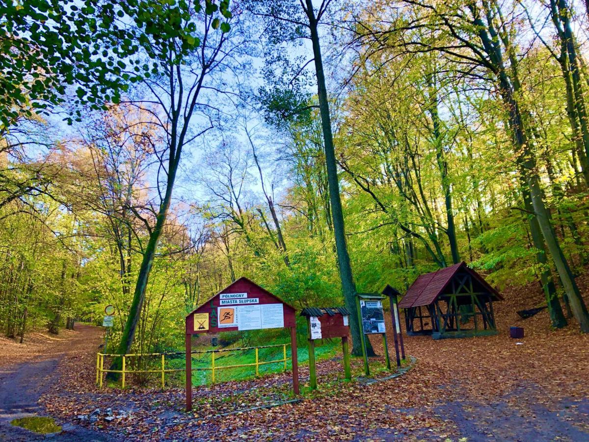 Las Slupski Premium Panoramic Apartament Nr8 Wifi Netflix Smart Tv55 Full Kitchen Double Bathtub Up To 4 People Full Pleasure Quality Stay (Adults Only) Exterior foto